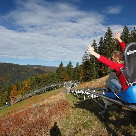 Daire Fewo 4 - Residenz Schauinsland, Bei Feldberg